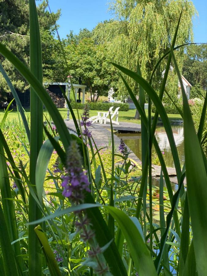 Gastenverblijf Nature 4-Persoons Ouddorp Exterior foto